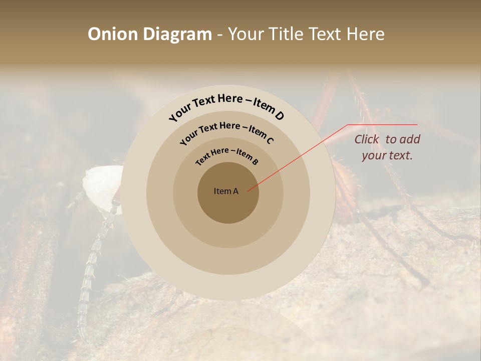 Army Ant Worker Carrying A Larva PowerPoint Template