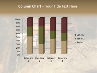 Army Ant Worker Carrying A Larva PowerPoint Template