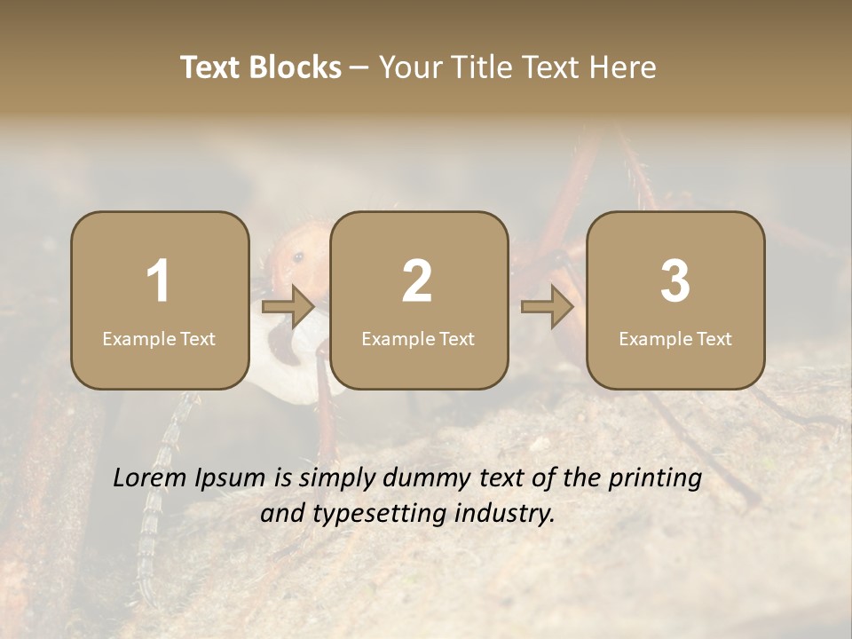 Army Ant Worker Carrying A Larva PowerPoint Template