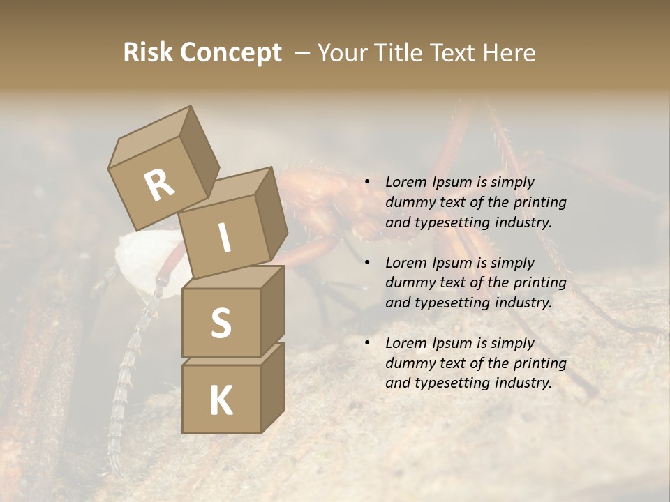 Army Ant Worker Carrying A Larva PowerPoint Template