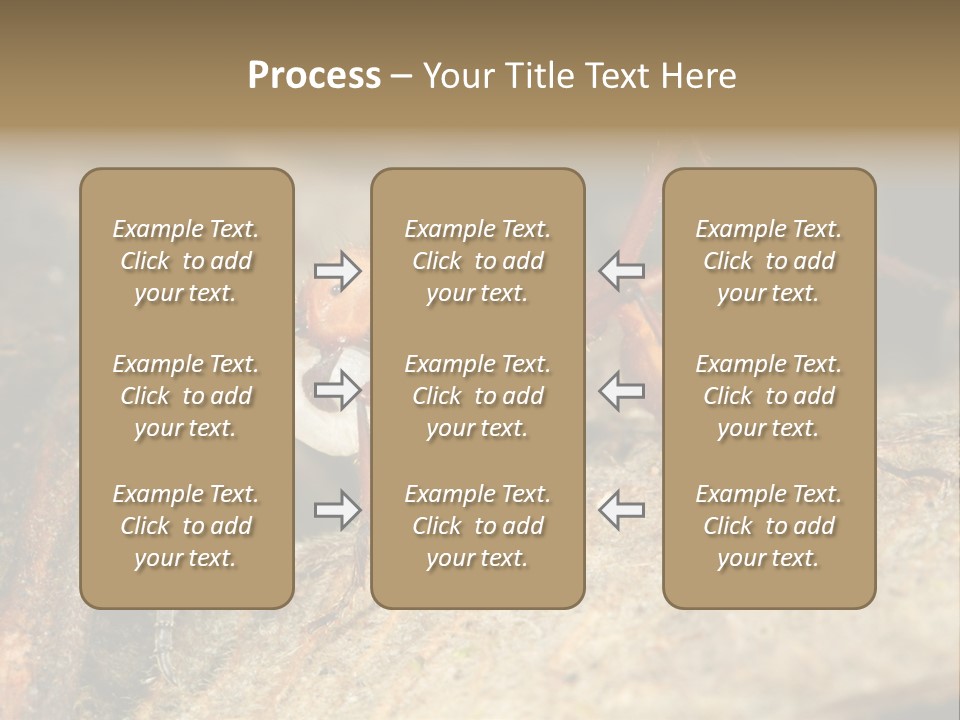 Army Ant Worker Carrying A Larva PowerPoint Template