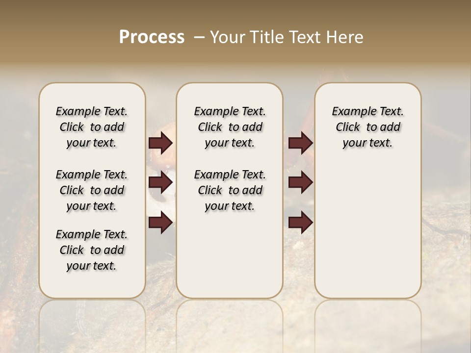 Army Ant Worker Carrying A Larva PowerPoint Template