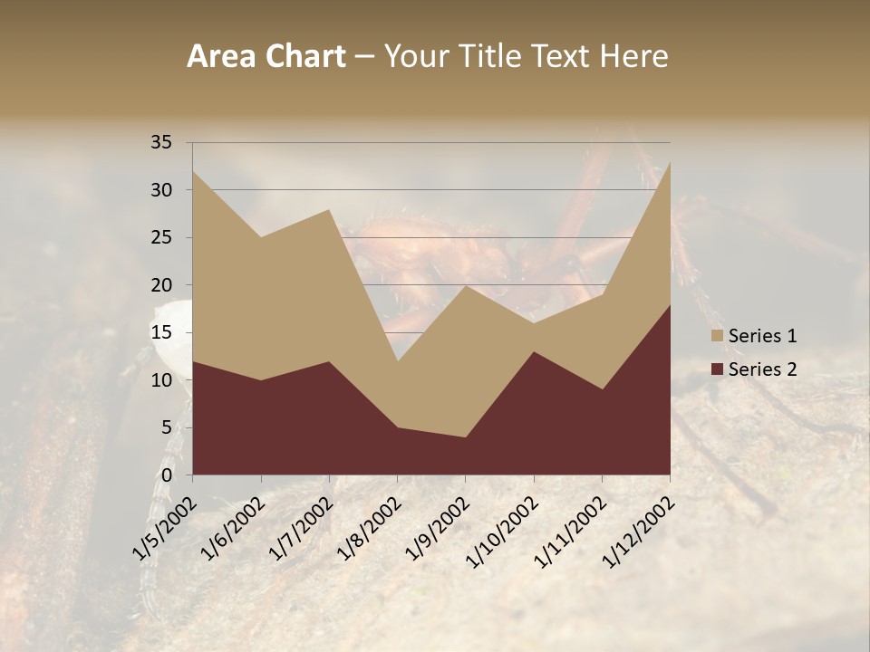 Army Ant Worker Carrying A Larva PowerPoint Template