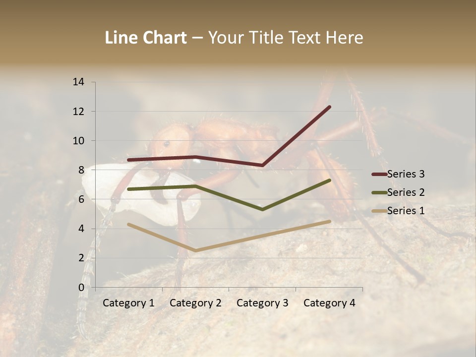 Army Ant Worker Carrying A Larva PowerPoint Template