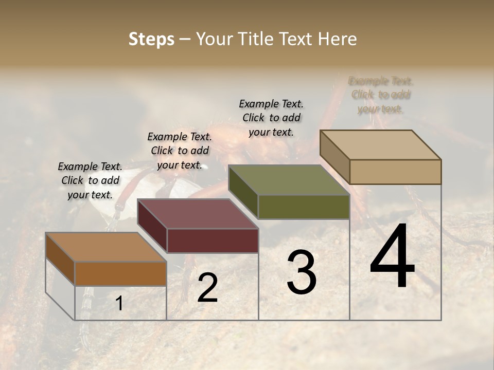 Army Ant Worker Carrying A Larva PowerPoint Template