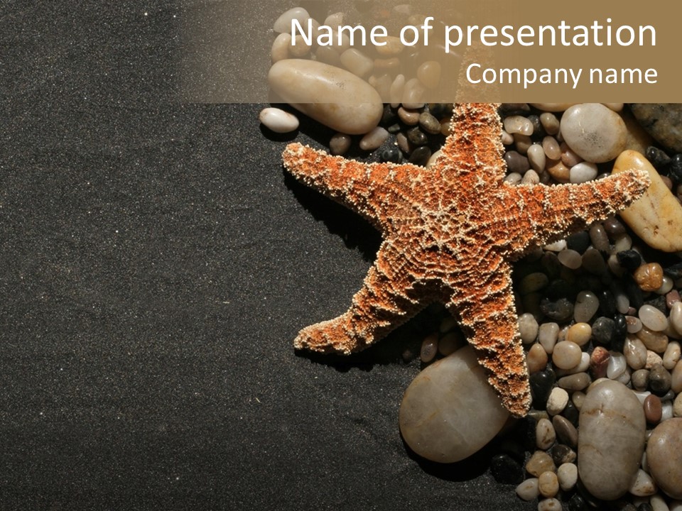 Orange Starfish And Rocks And Pebbles On Black Sand PowerPoint Template