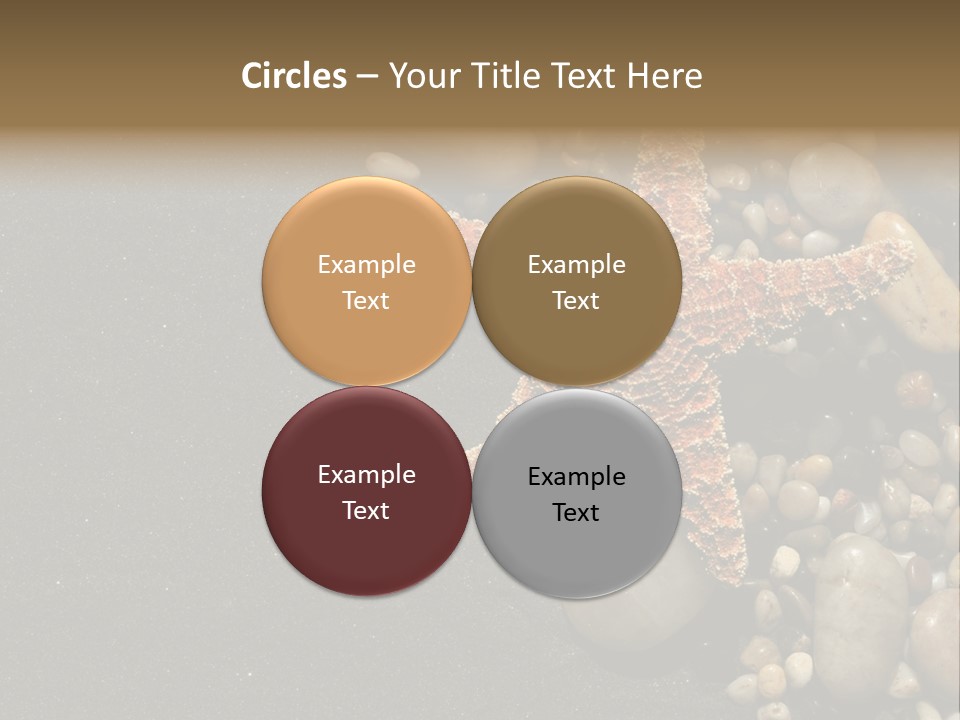 Orange Starfish And Rocks And Pebbles On Black Sand PowerPoint Template