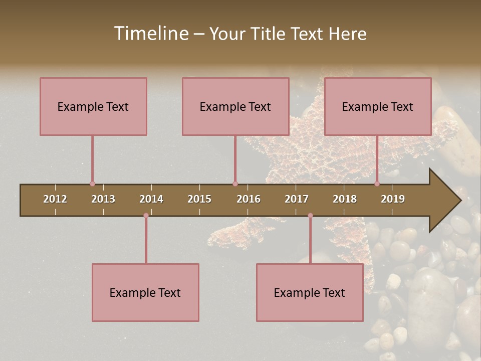 Orange Starfish And Rocks And Pebbles On Black Sand PowerPoint Template