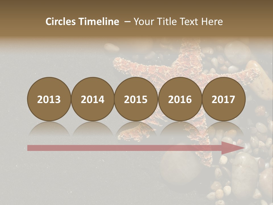 Orange Starfish And Rocks And Pebbles On Black Sand PowerPoint Template