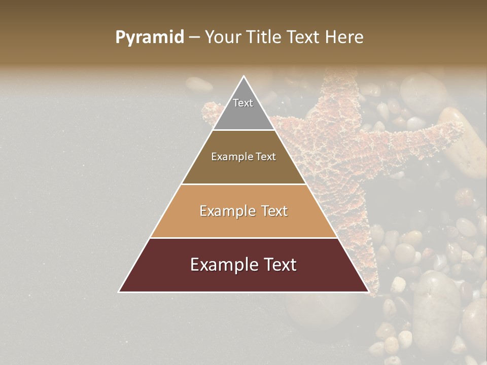 Orange Starfish And Rocks And Pebbles On Black Sand PowerPoint Template