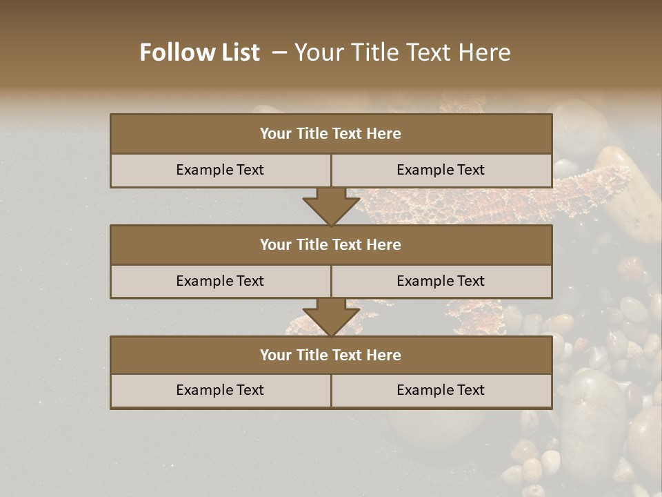 Orange Starfish And Rocks And Pebbles On Black Sand PowerPoint Template