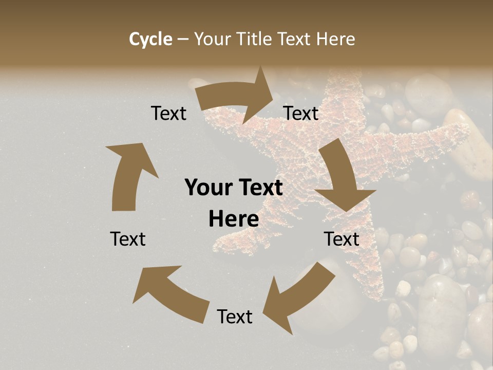 Orange Starfish And Rocks And Pebbles On Black Sand PowerPoint Template