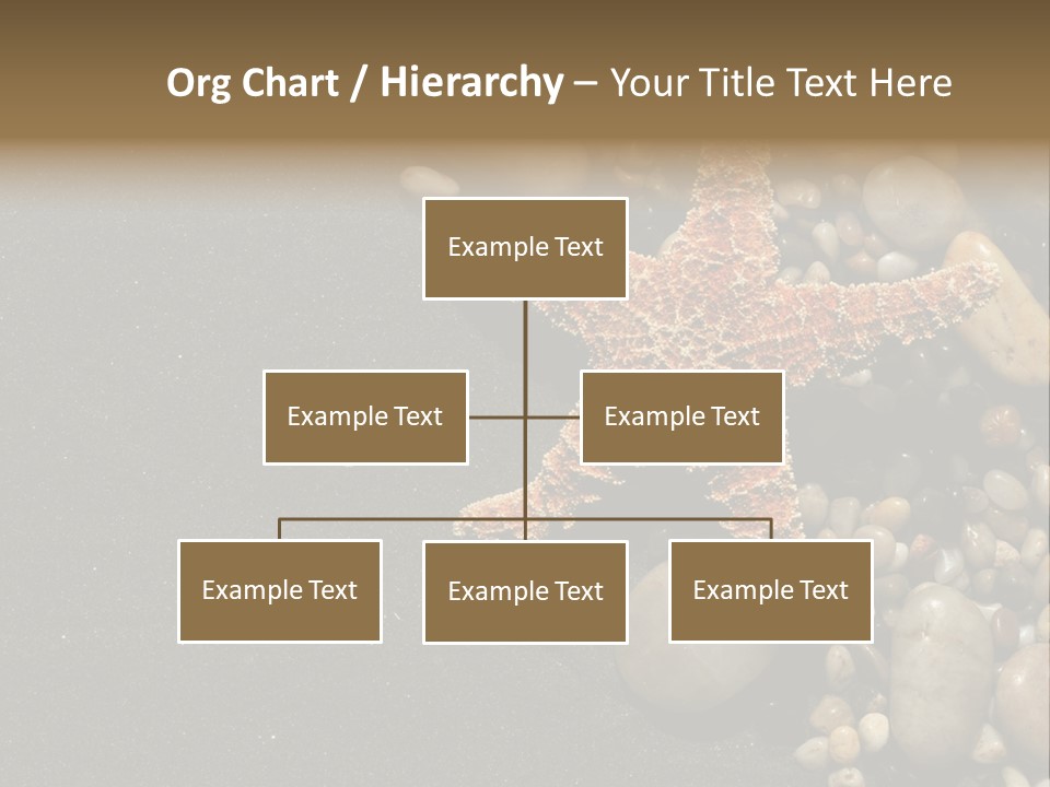 Orange Starfish And Rocks And Pebbles On Black Sand PowerPoint Template