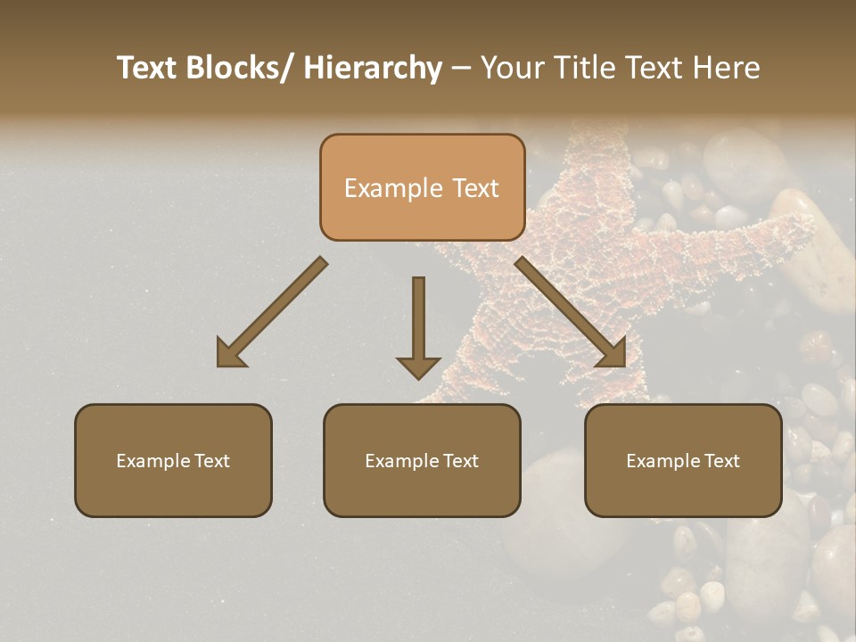 Orange Starfish And Rocks And Pebbles On Black Sand PowerPoint Template