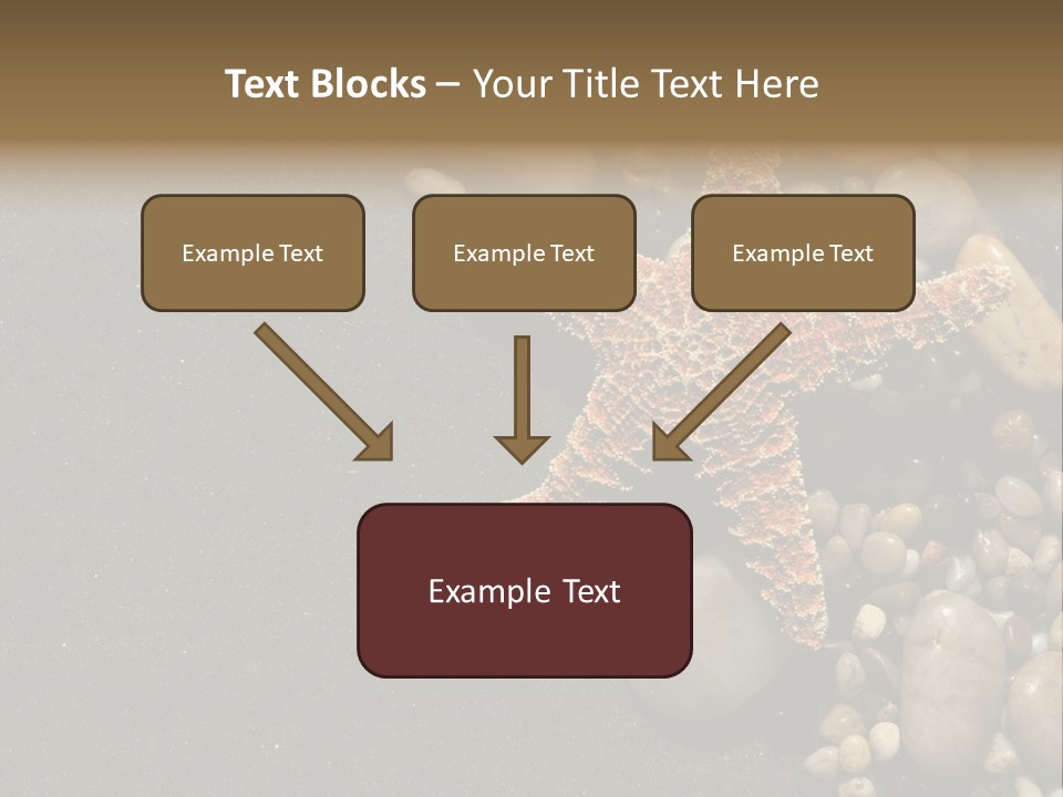 Orange Starfish And Rocks And Pebbles On Black Sand PowerPoint Template