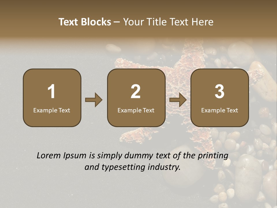 Orange Starfish And Rocks And Pebbles On Black Sand PowerPoint Template