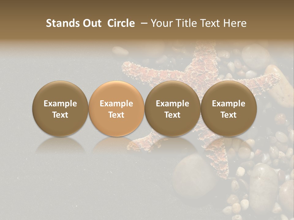 Orange Starfish And Rocks And Pebbles On Black Sand PowerPoint Template