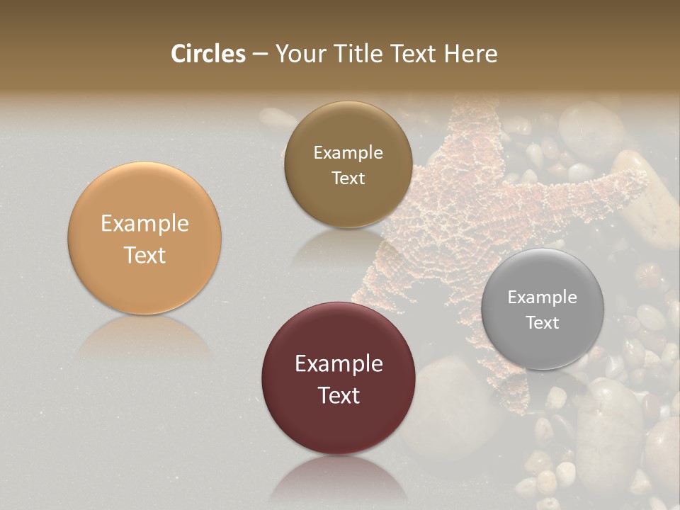 Orange Starfish And Rocks And Pebbles On Black Sand PowerPoint Template