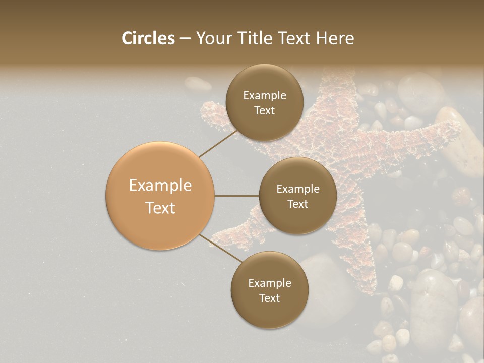 Orange Starfish And Rocks And Pebbles On Black Sand PowerPoint Template