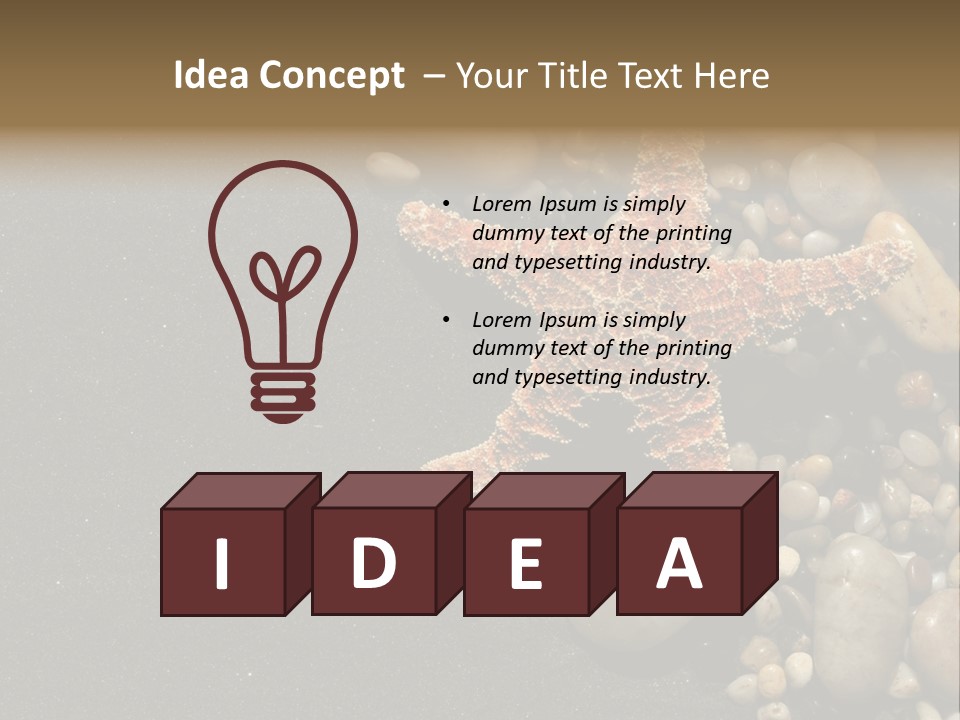 Orange Starfish And Rocks And Pebbles On Black Sand PowerPoint Template