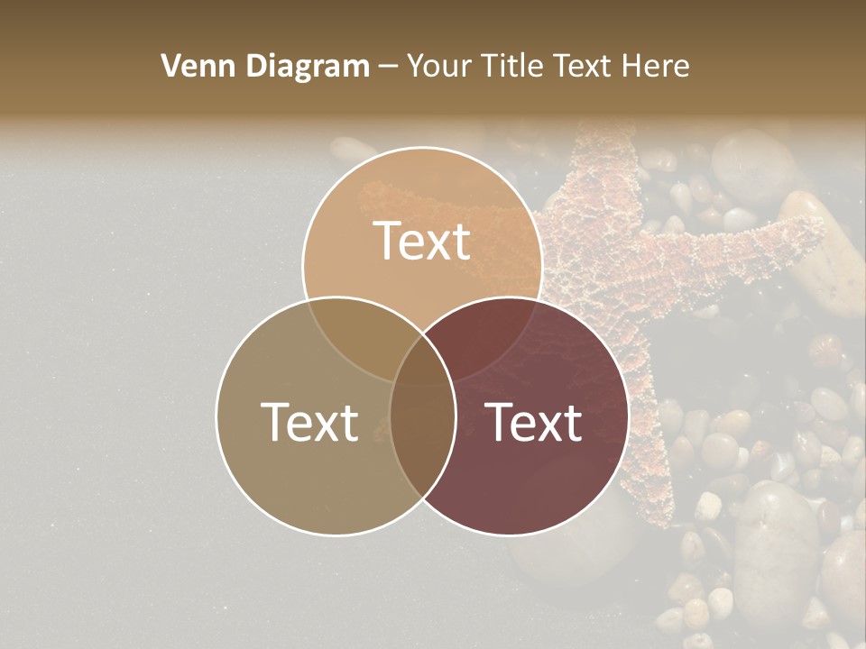 Orange Starfish And Rocks And Pebbles On Black Sand PowerPoint Template