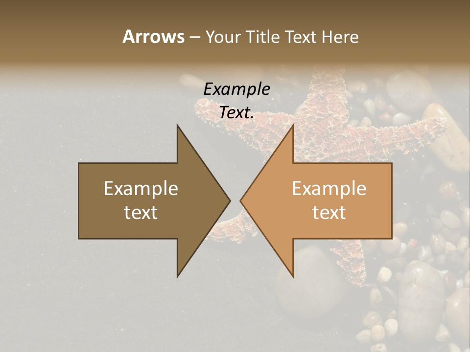 Orange Starfish And Rocks And Pebbles On Black Sand PowerPoint Template