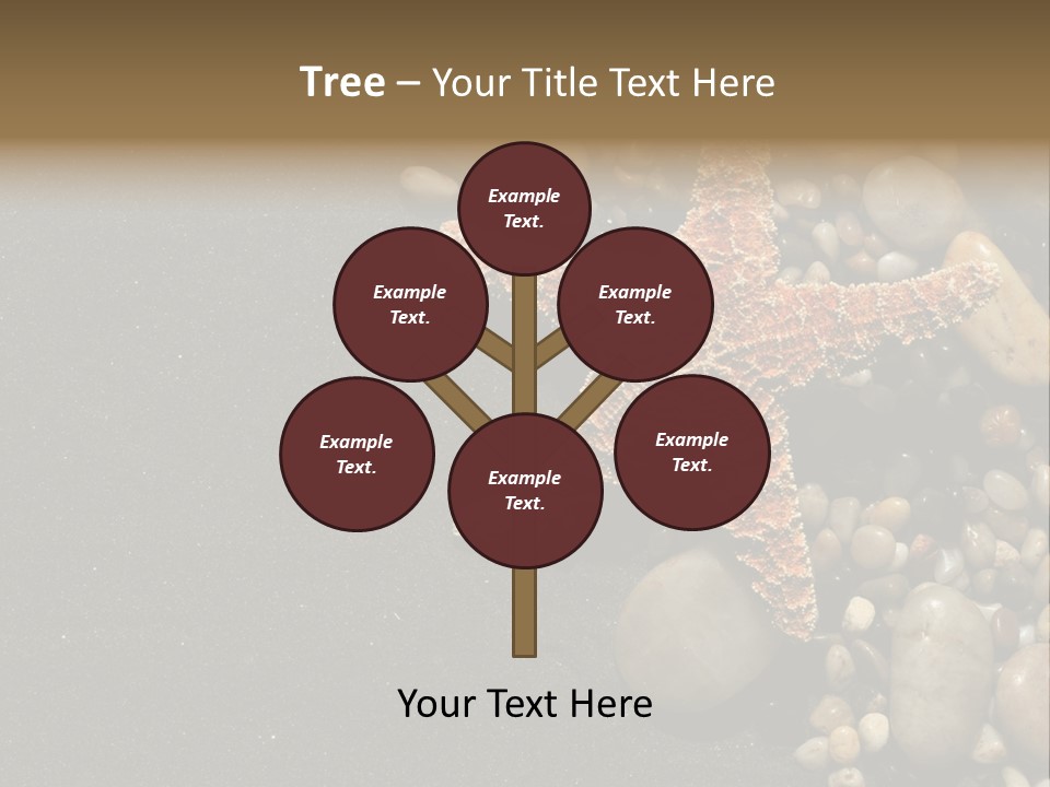 Orange Starfish And Rocks And Pebbles On Black Sand PowerPoint Template