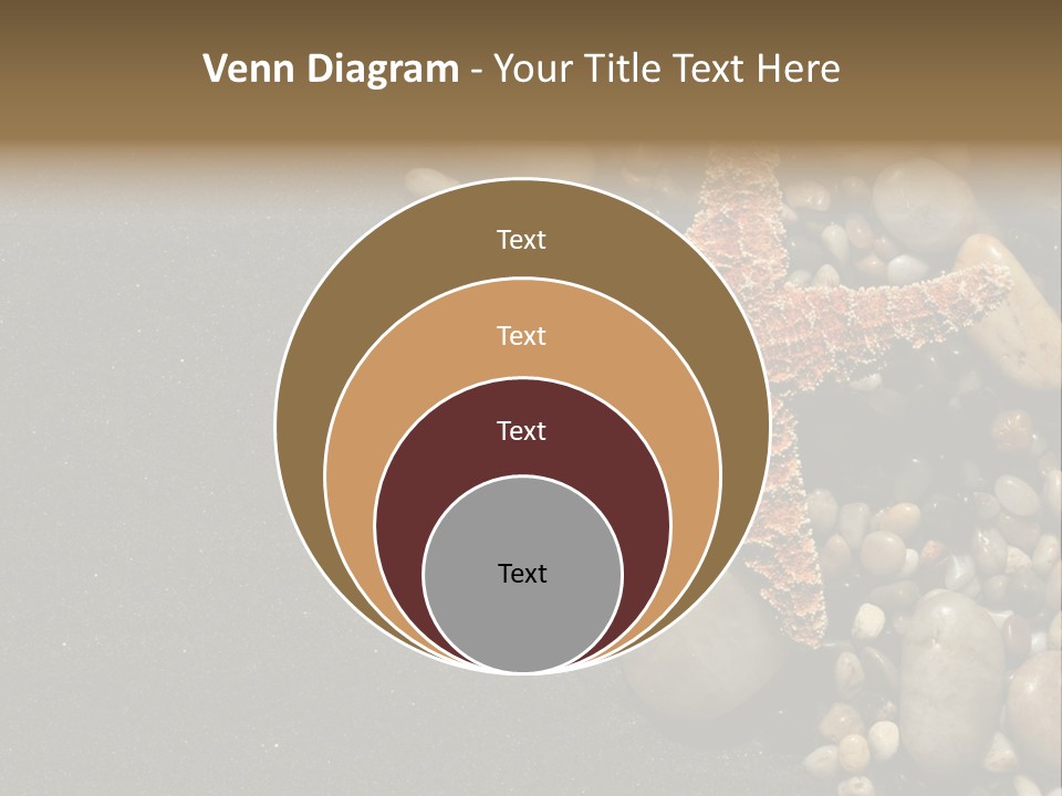 Orange Starfish And Rocks And Pebbles On Black Sand PowerPoint Template