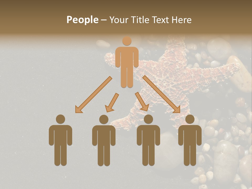 Orange Starfish And Rocks And Pebbles On Black Sand PowerPoint Template