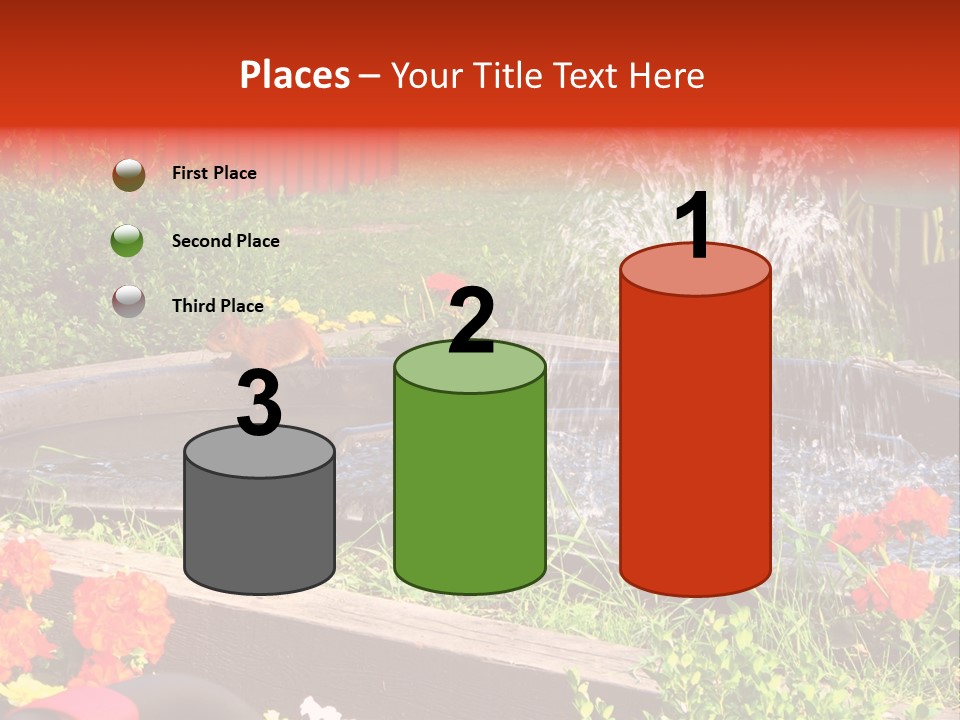 Squirrel At The Fountain PowerPoint Template