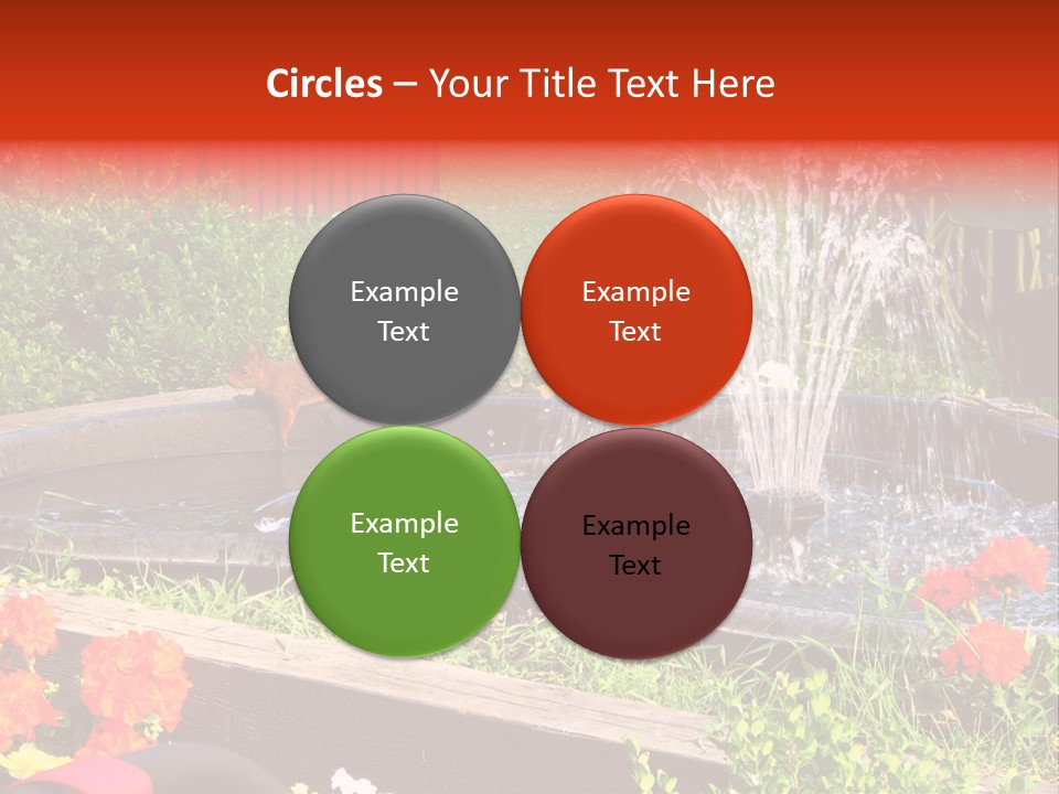 Squirrel At The Fountain PowerPoint Template