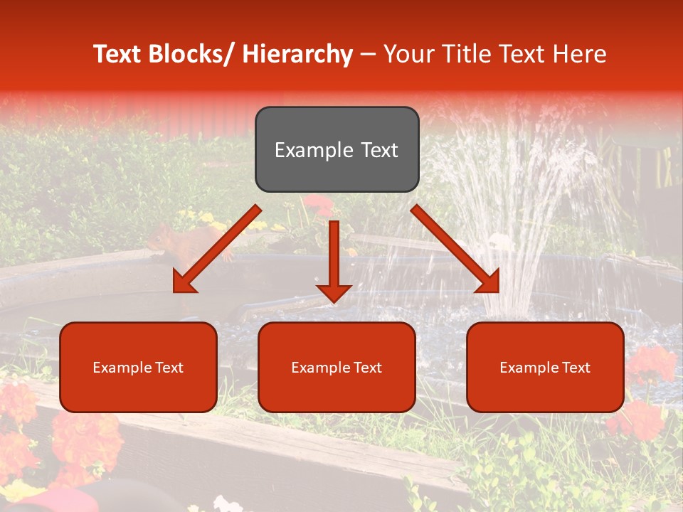 Squirrel At The Fountain PowerPoint Template