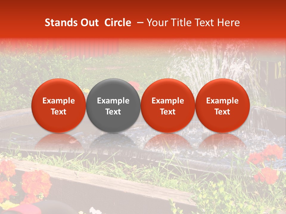 Squirrel At The Fountain PowerPoint Template