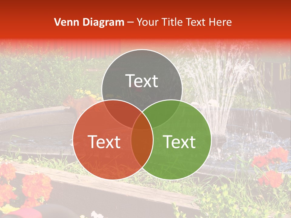 Squirrel At The Fountain PowerPoint Template