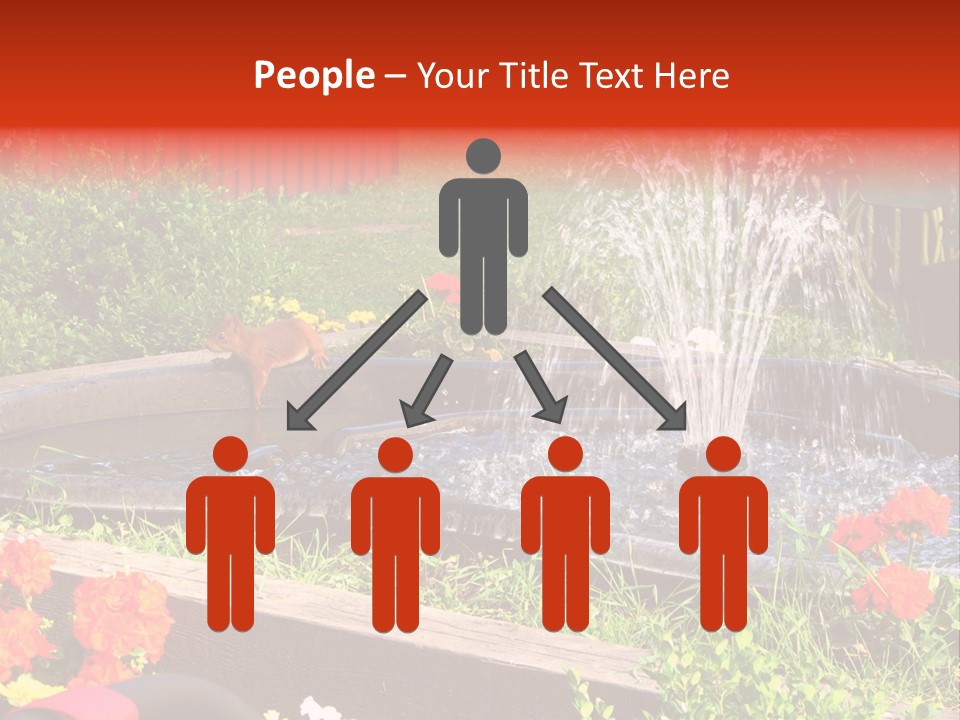 Squirrel At The Fountain PowerPoint Template