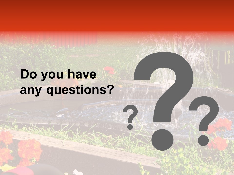 Squirrel At The Fountain PowerPoint Template