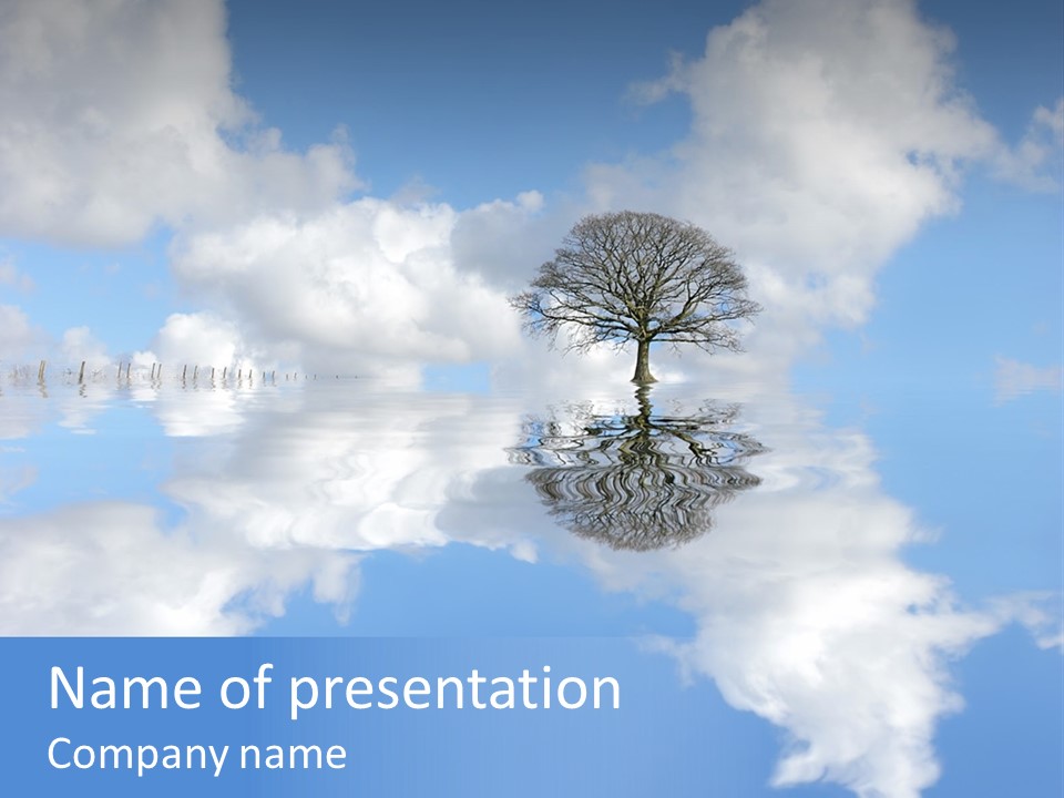 A Tree In The Middle Of A Body Of Water PowerPoint Template