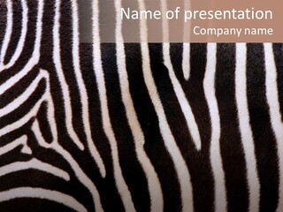A Close Up Of A Zebra's Skin With A Brown Background PowerPoint Template