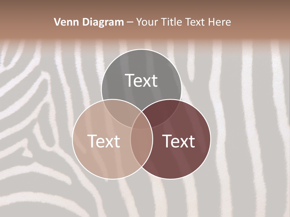 A Close Up Of A Zebra's Skin With A Brown Background PowerPoint Template