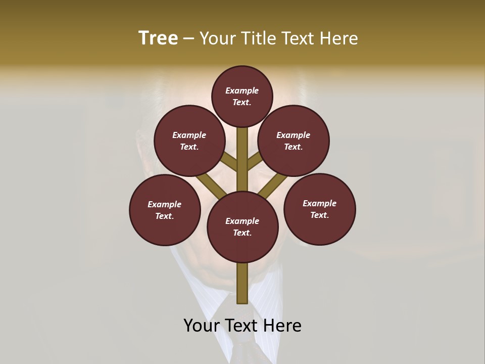 Jerusalem, August 26,2006: President The State Of Israel Shymon Peres Converses With The Journalists In The Israeli Parliament (Knesset) On August 26 Jerusalem, Israel. PowerPoint Template