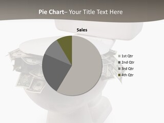 Flush With Cash PowerPoint Template