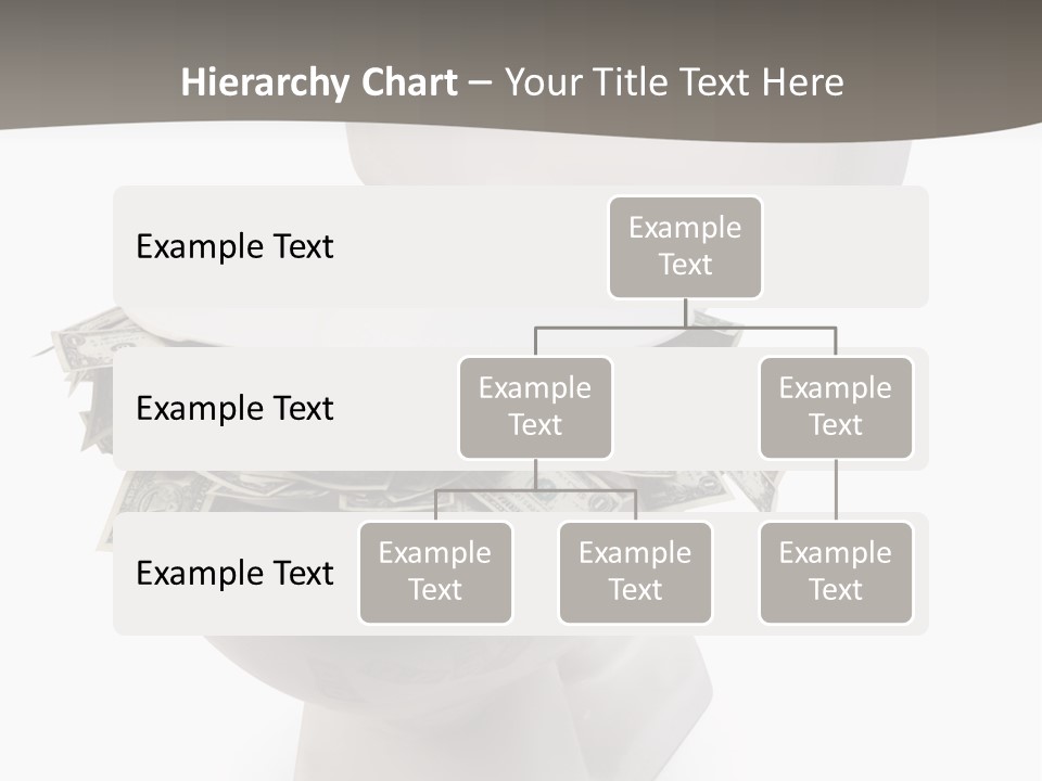 Flush With Cash PowerPoint Template
