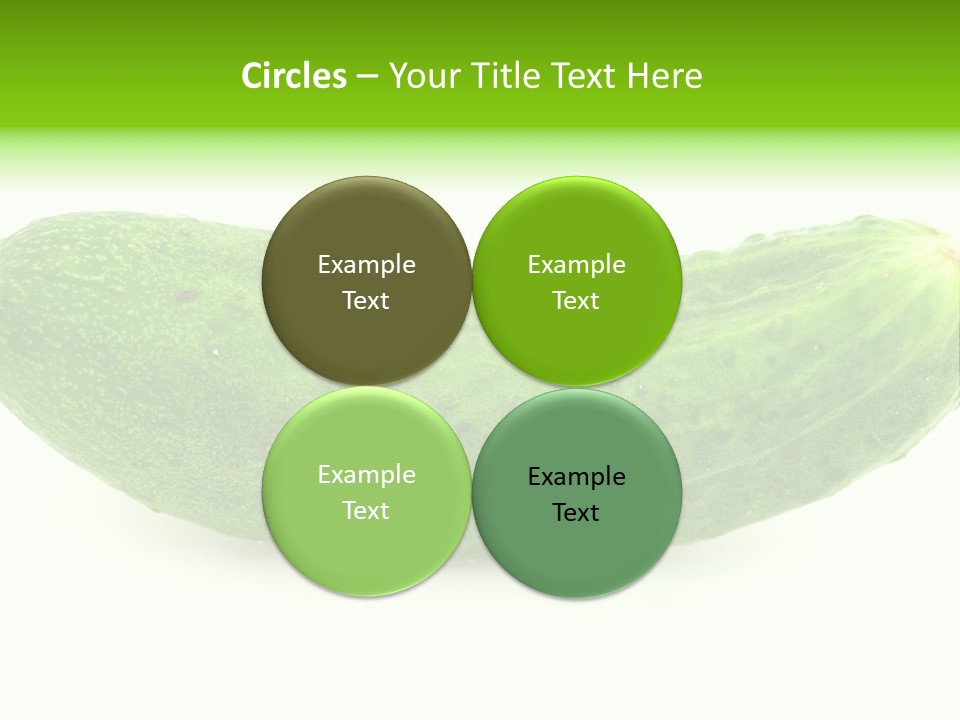 One Green Cucumber On A White Background. PowerPoint Template
