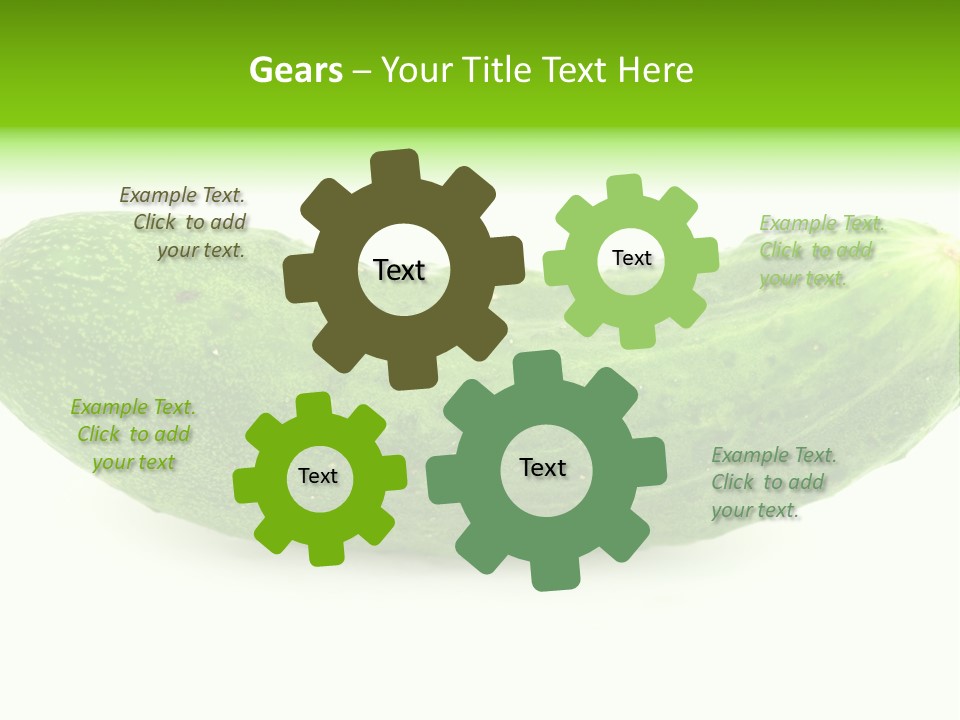 One Green Cucumber On A White Background. PowerPoint Template