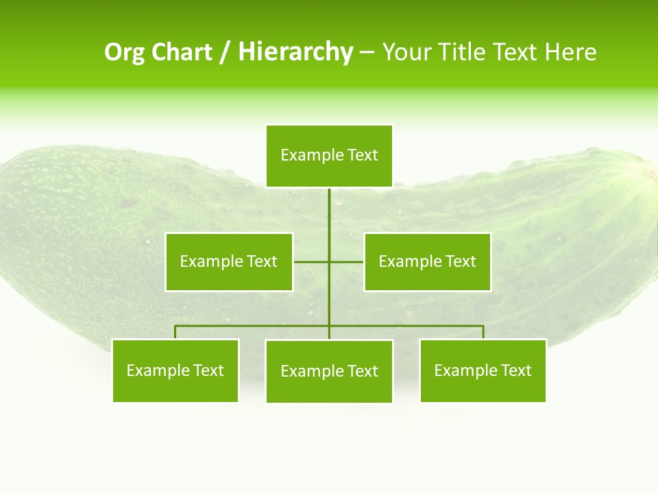 One Green Cucumber On A White Background. PowerPoint Template