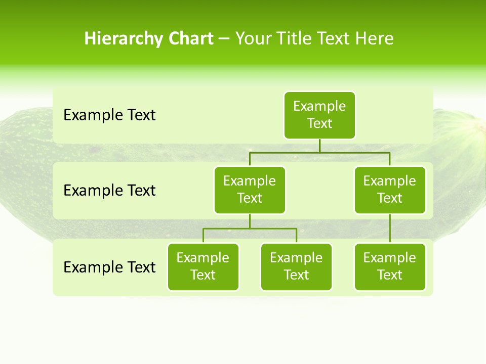 One Green Cucumber On A White Background. PowerPoint Template