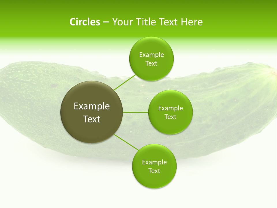 One Green Cucumber On A White Background. PowerPoint Template