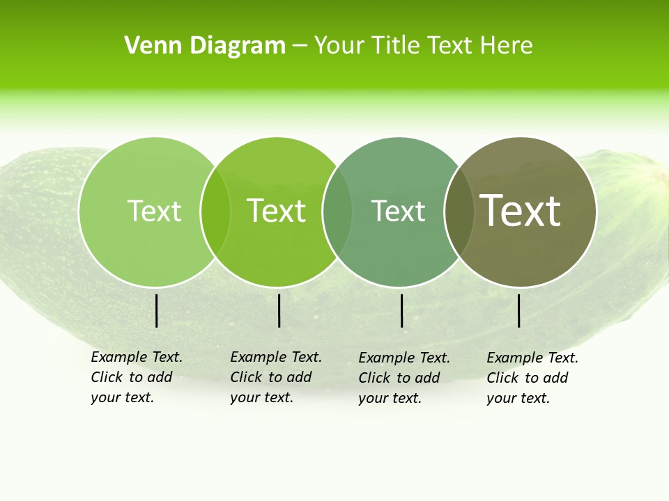 One Green Cucumber On A White Background. PowerPoint Template