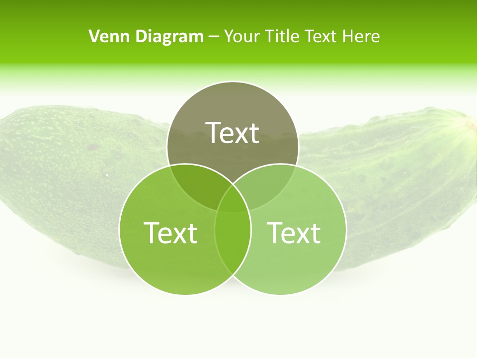 One Green Cucumber On A White Background. PowerPoint Template
