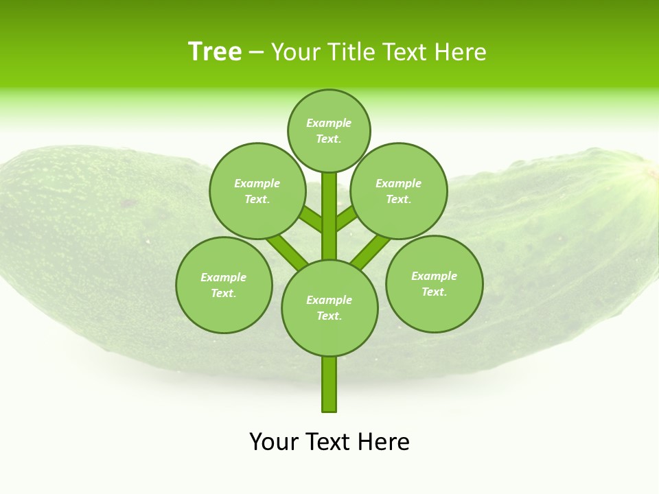 One Green Cucumber On A White Background. PowerPoint Template